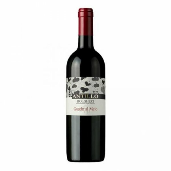 Guado al Melo - Antillo 2015